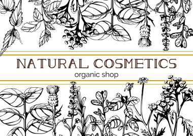 Bitkiler ve çiçekler kompozisyon