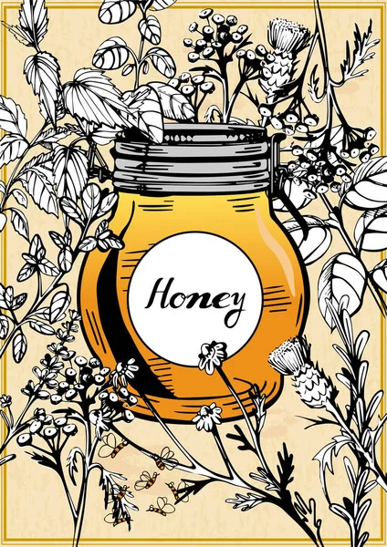 Méz jar a füvek és virágok körül — Stock Vector