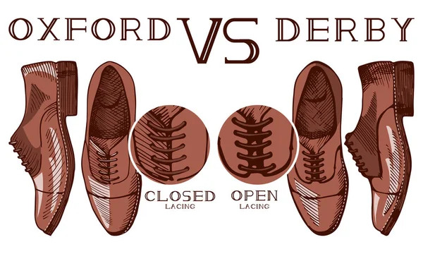 Oxford VS derby — Stock Vector