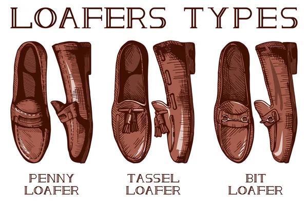 Mens loafer sapatos tipos — Vetor de Stock