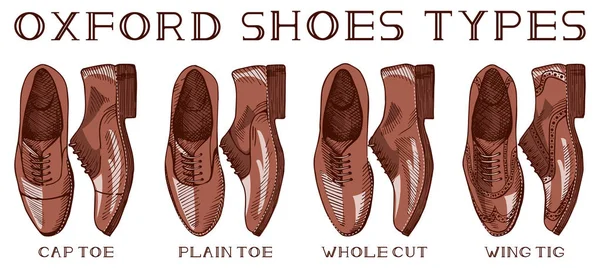 Мужская оксфордская обувь — стоковый вектор