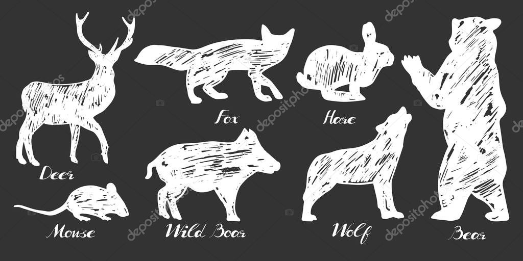 Vector illustration of a forest animals silhouettes drawn with chalk in sketchy manner. Hand-drawn blackboard style.