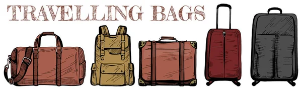 Travelling bags vector — Stock Vector