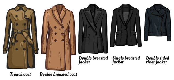 Mulheres jaquetas tipo conjunto —  Vetores de Stock