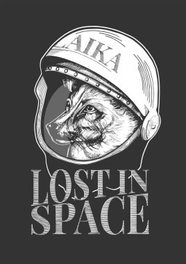 Laika köpek kask içinde