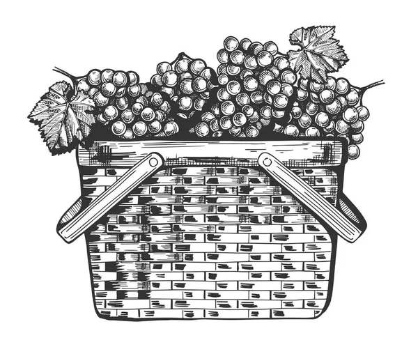 Cesta cheia de cachos de uvas — Vetor de Stock