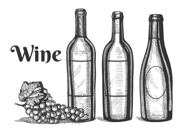 Um ramo de garrafas e uvas de vinho — Vetor de Stock