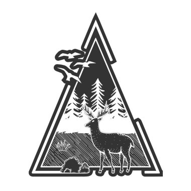 Vahşi yaşam, doğa, orman örnekleri. 