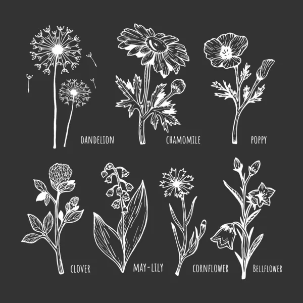Bahar çiçekleri siyah arkaplanda — Stok Vektör