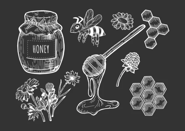 Honey set on black background. — Stock Vector