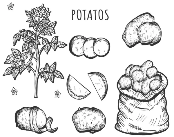 Comida orgánica vegana cruda saludable — Vector de stock