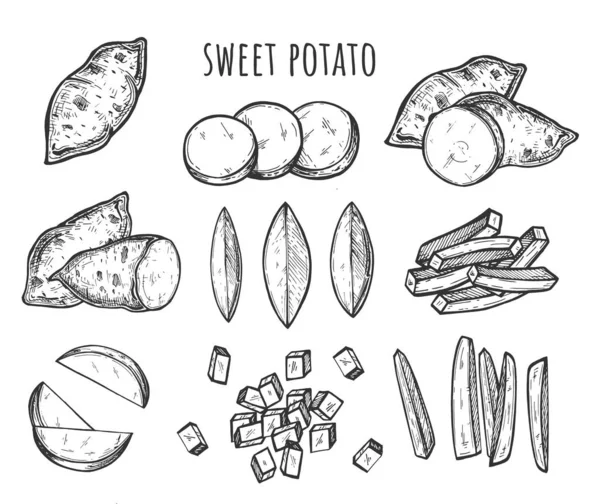 Cutting slicing sweet potato set — Stock Vector