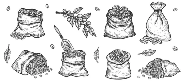 Set koffiebonen in zakje of zakje — Stockvector