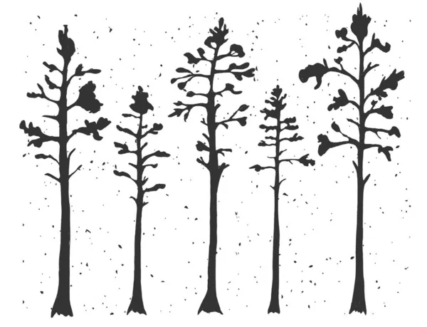 Hutan Stencil pohon pinus woodland - Stok Vektor
