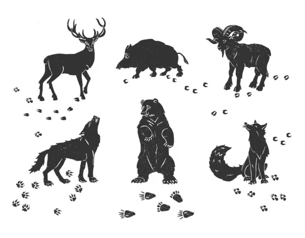 Conjunto de iconos y rastros de animales forestales — Vector de stock