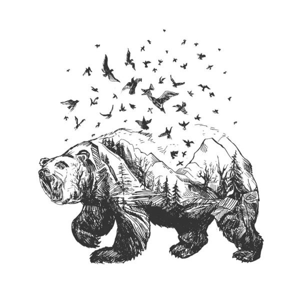 Creative wild bear silhouette sketch — 스톡 벡터