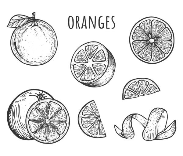 Illustration Vectorielle Des Oranges Fruit Tranché Entier Moitié Spirale Cutanée — Image vectorielle