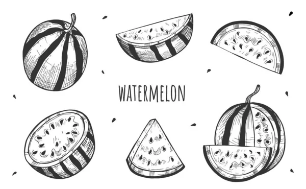 Vector Illustratie Van Zoete Sappige Watermeloen Set Berry Plak Helft — Stockvector