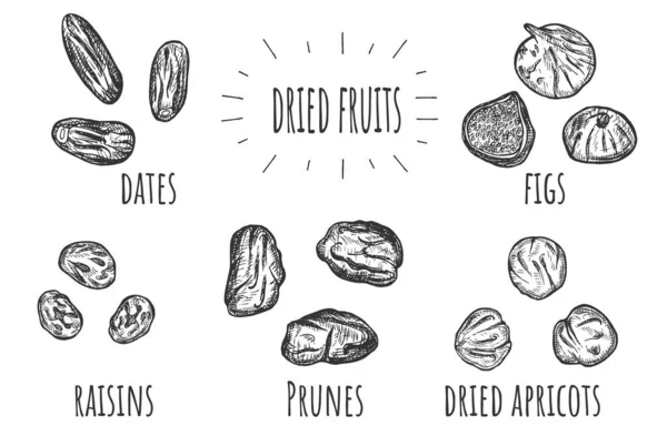 Vektorillustration Von Getrockneten Früchten Set Datteln Rosinen Pflaumen Aprikosen Feigen — Stockvektor