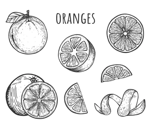 Illustration Vectorielle Des Oranges Fruit Tranché Entier Moitié Spirale Cutanée Illustrations De Stock Libres De Droits