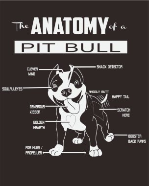 Tipografi, Tshirt tasarım, vektör sanat