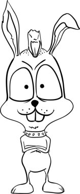 Tavşan oyunculuk asi