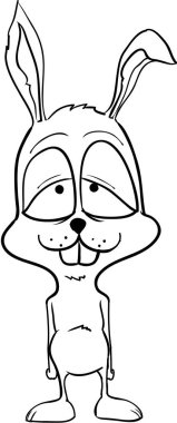  Aşık olmak tavşan