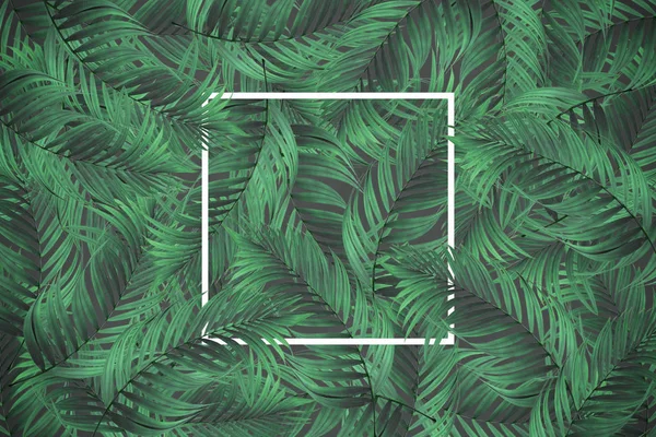 Kare çerçeve, koyu yeşil yapraklı bir düzen. Yaz 