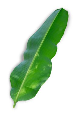 Beyaz arkaplanda muz yaprağı izole