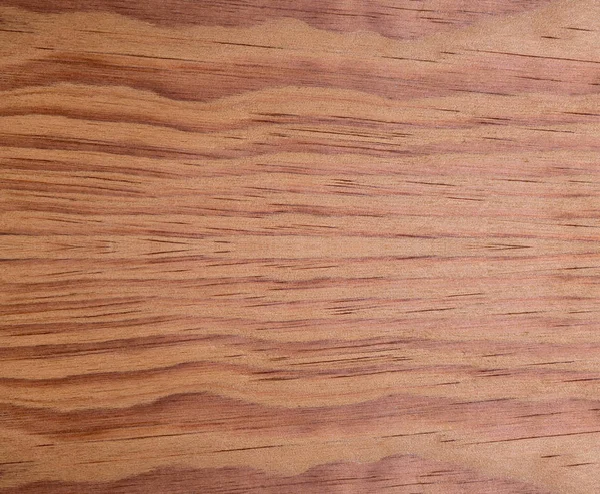 Softwood marrom coníferas textura com fundo da natureza — Fotografia de Stock