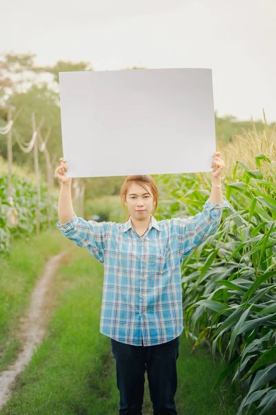 옥수수 밭에 빈 흰색 포스터를 들고 농부 여자. — 스톡 사진