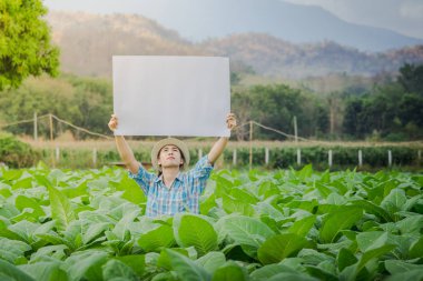 Boş beyaz poster tütün grupta tutan çiftçi kadın