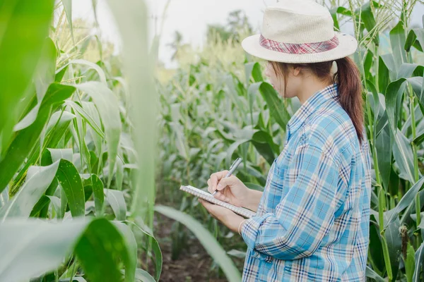 Rolnik kobieta robić notatki piórem na notebooku w rolnictwo ogród. — Zdjęcie stockowe