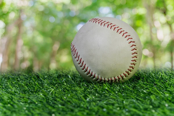 Beyzbol yeşil çim üzerinde