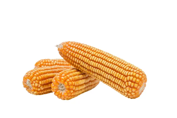 Dry corn isolated on white background