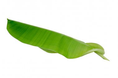 Beyaz arkaplanda muz yaprağı izole