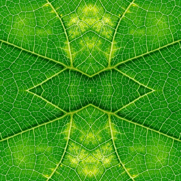Vzor bezešvé pozadí z makro zelený list textury — Stock fotografie