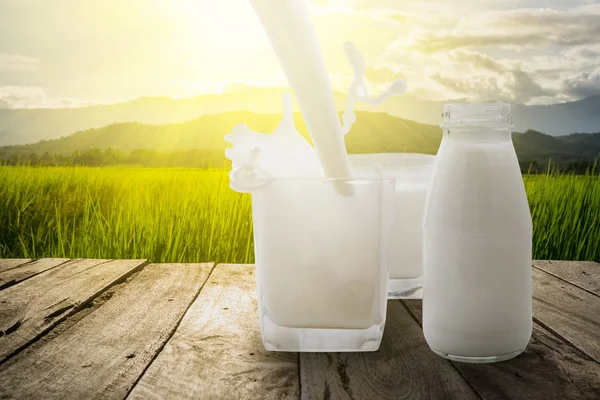 Häll Mjölken Ett Glas Stänk Träterrassen Med Gröna Äng Och — Stockfoto