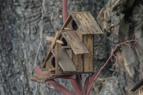 House Bird Brown Wood Tiny House Tree Background — Stock Photo, Image