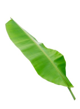 Muz Yaprak üzerinde izole beyaz arka plan, dosyada, kırpma yolu.