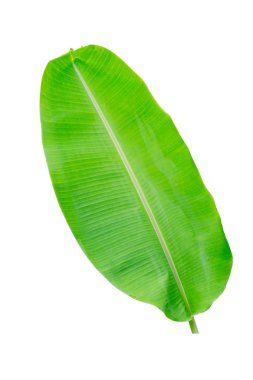 Muz Yaprak üzerinde izole beyaz arka plan, dosyada, kırpma yolu.