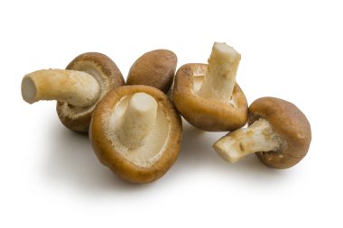 Ham shiitake mantar beyaz arka plan üzerinde izole kapatmak. Dosyada, kırpma yolu.