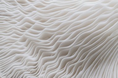 Sajor-caju mantar bitkilerin soyut doğa arka plan makro. Fikir tasarım doku desen kavramı doğal veya duvar kağıdı kullanarak.