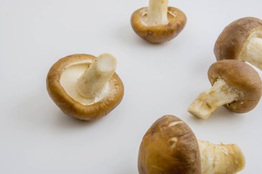 Ham shiitake mantar beyaz arka plan üzerinde kapatın.