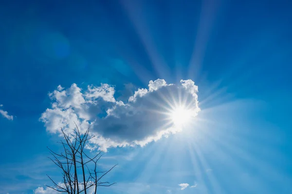 Prachtige Natuur Van Blauwe Lucht Met Wolken Zon Schijnt Droge — Stockfoto