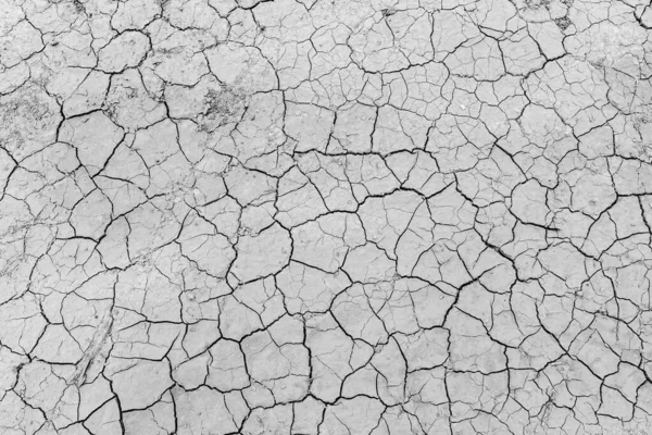 Gris Sol Sec Fissures Texture Fond Dans Sécheresse Vue Dessus — Photo