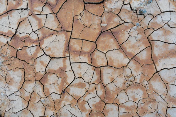 Dry Soil Ground Cracks Background Texture Drought Top View — Stock Photo, Image