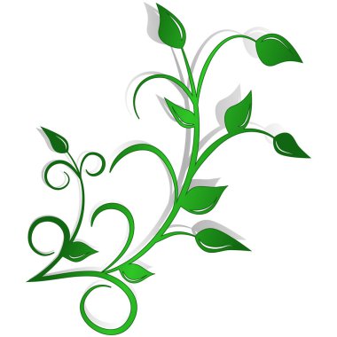 Dekoratif yapraklı yeşil dal