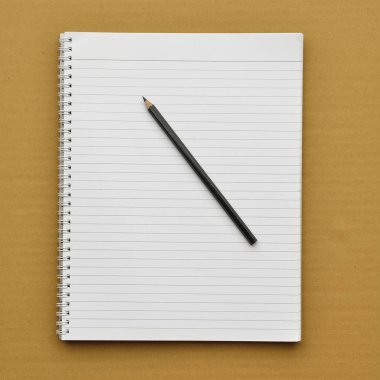 Defter karton zemin üzerine kalem ile.