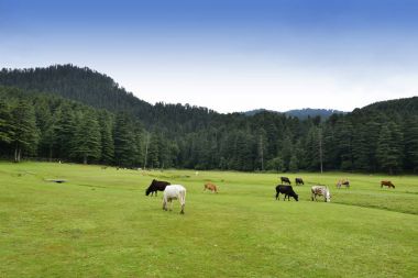  Dalhousie Khajjiar Hill istasyonu 